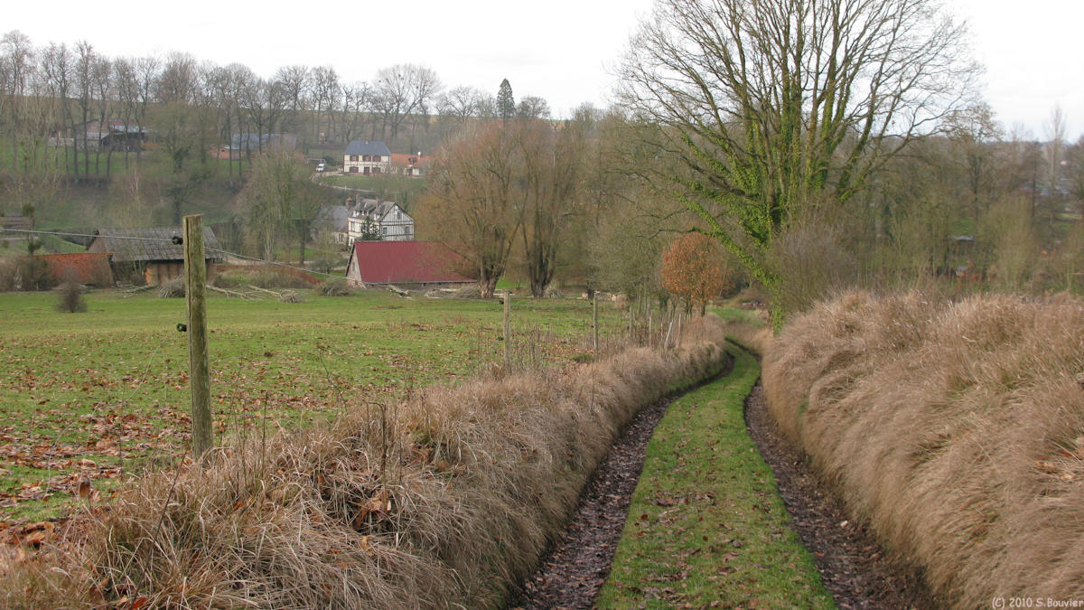 Lammerville (Flammanville)
