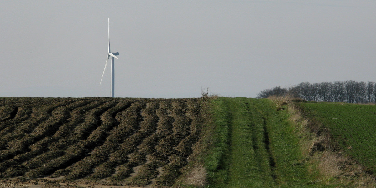 La Gaillarde (Chemin)