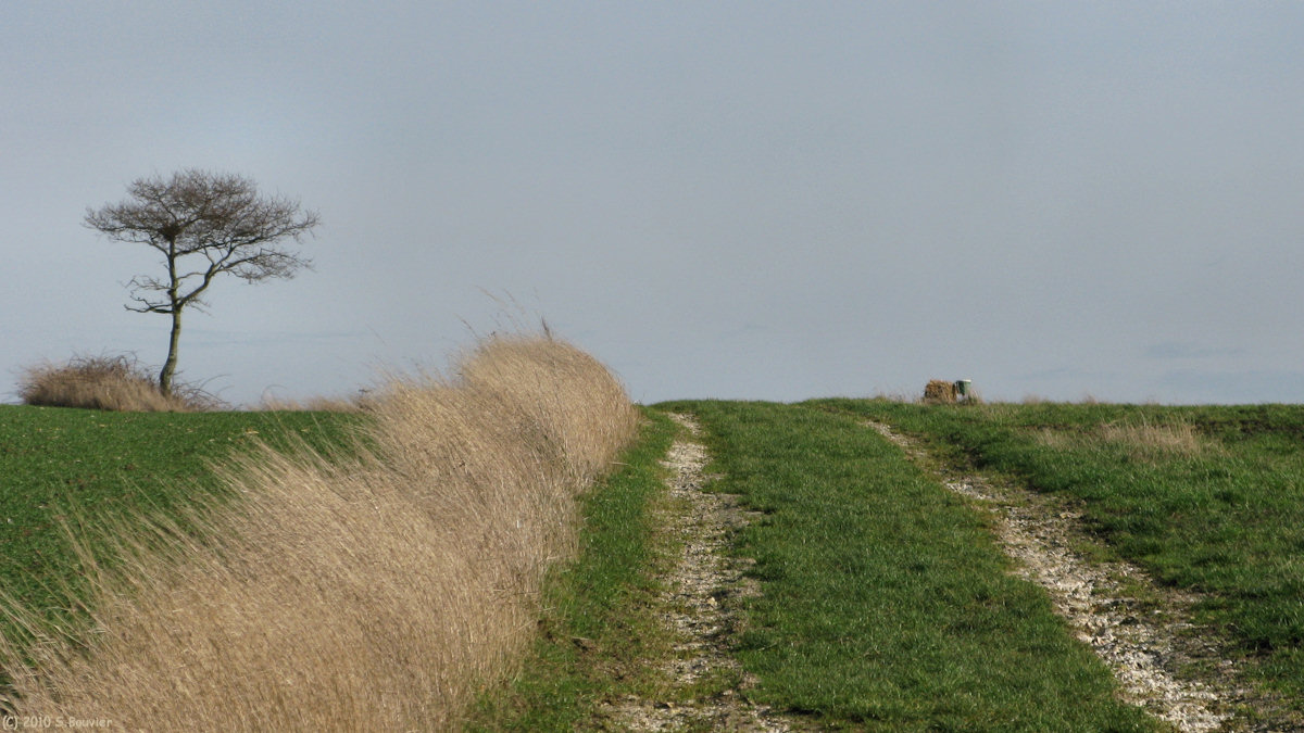 St Pierre le Vieux (Chemin)