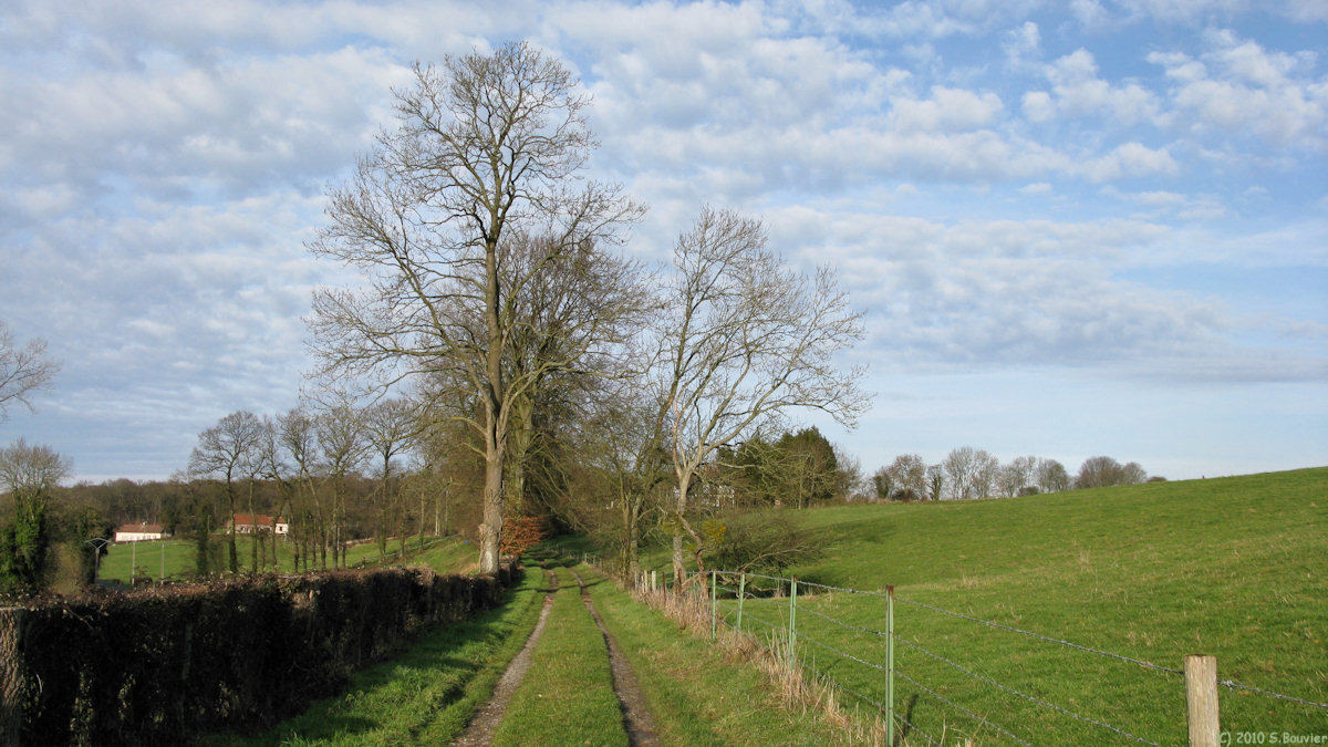 Ambrumesnil (Chemin 1)