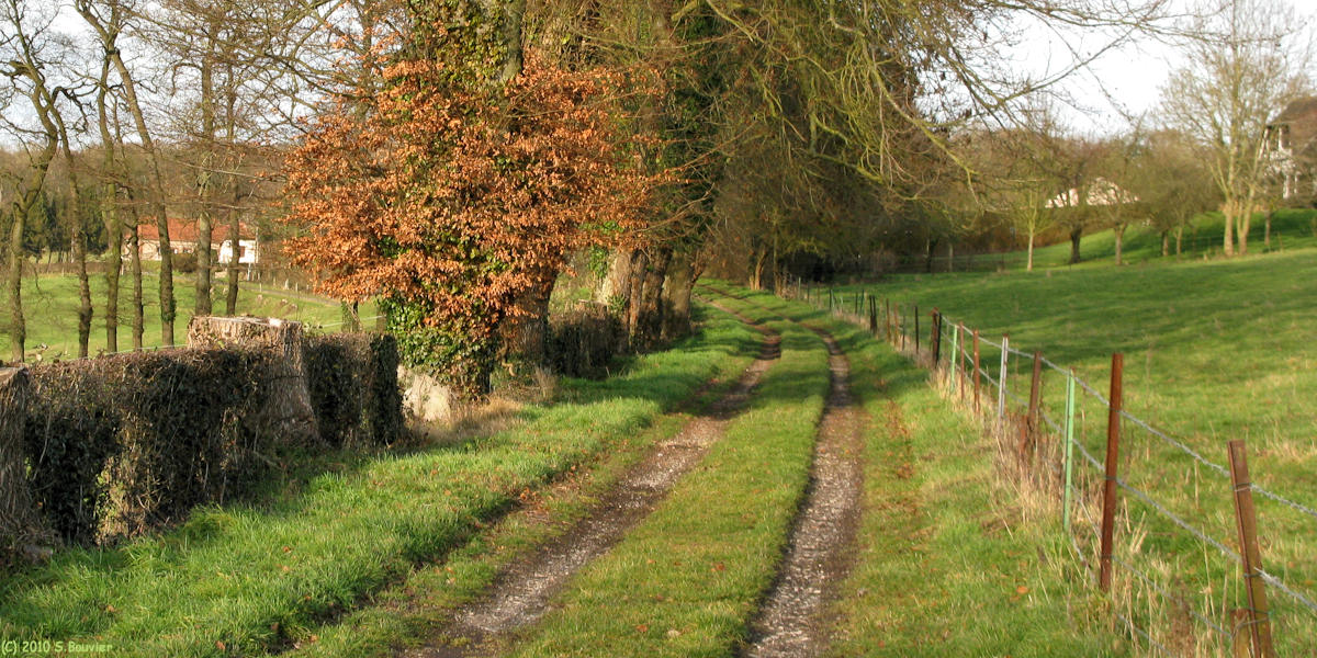 Ambrumesnil (Chemin 2)