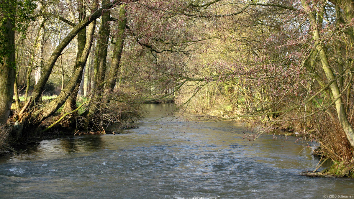 Ambrumesnil (Saâne 2)
