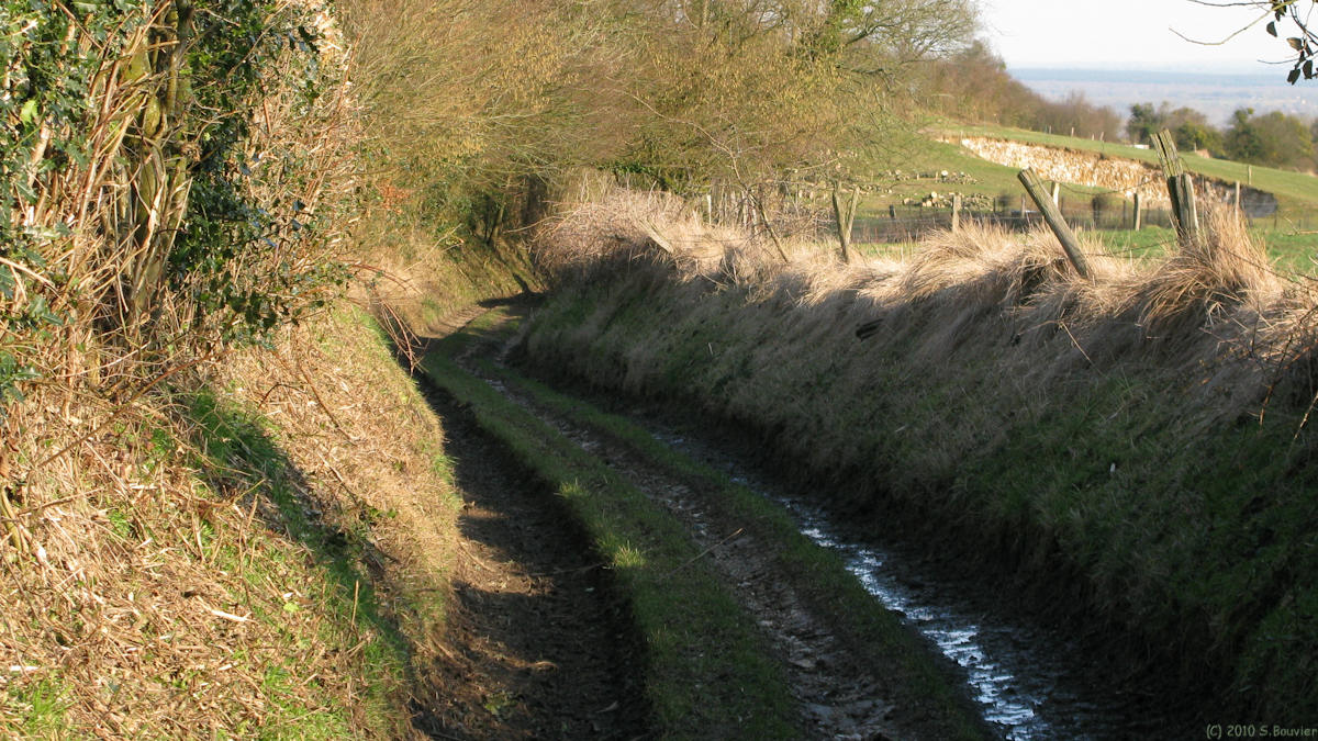 Mauquenchy (Chemin 1)