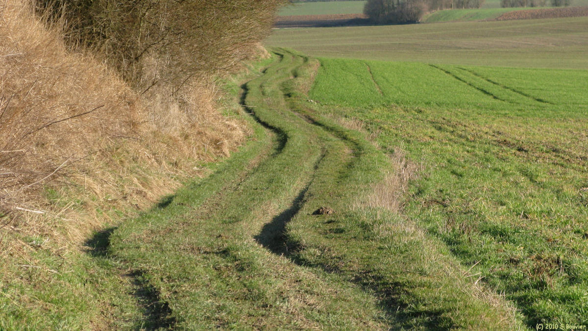 Mauquenchy (Chemin 3)