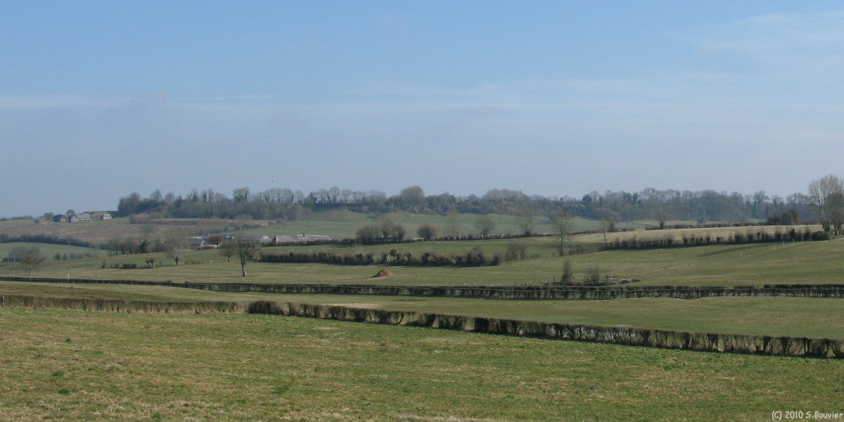 La Ferté St Samson (Bréholle)