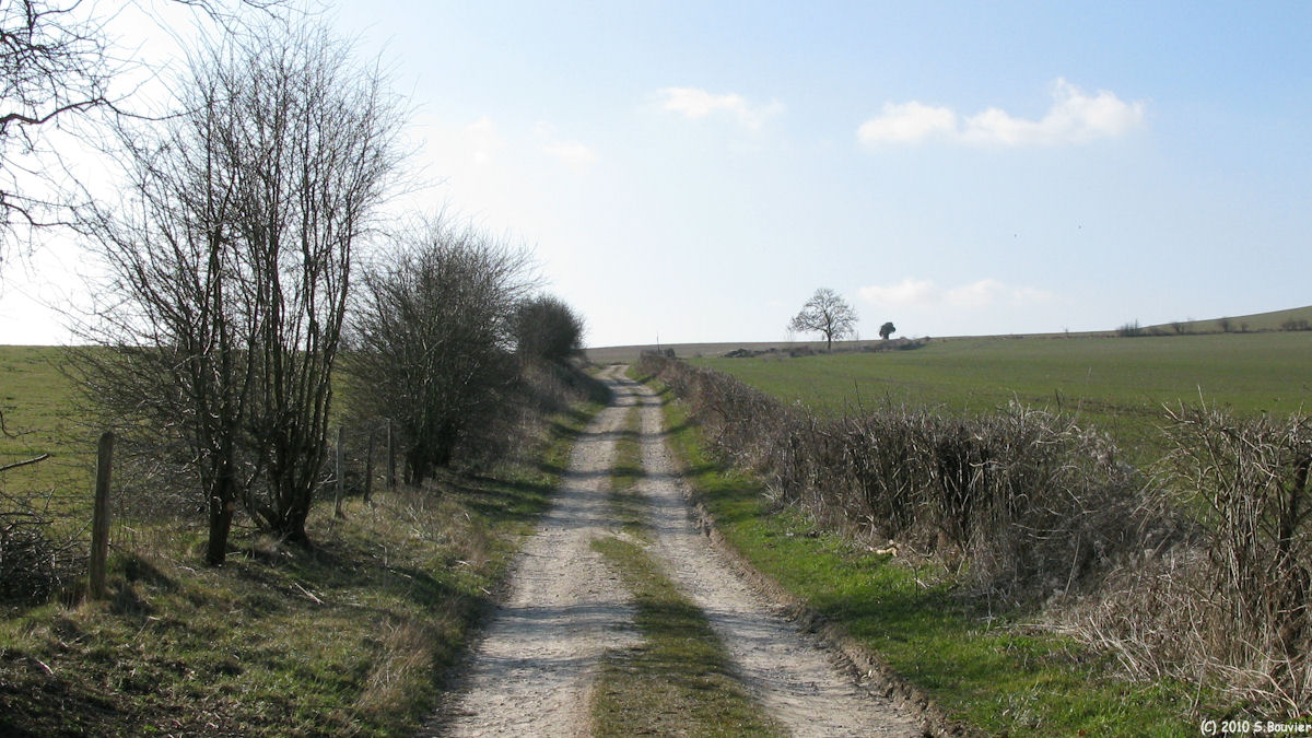Argueil (Chemin)