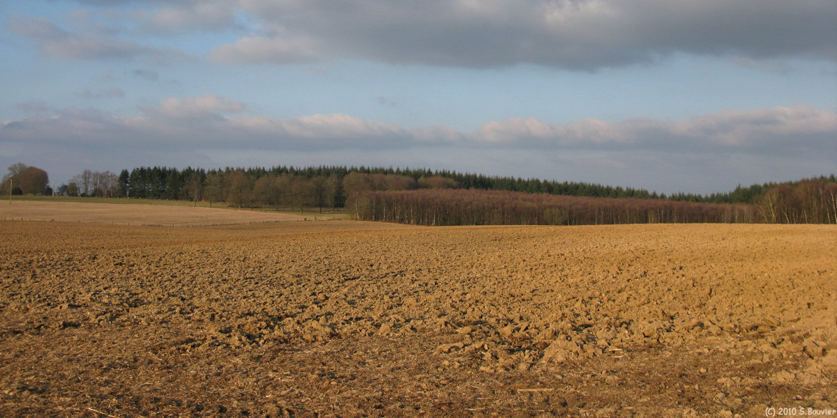Rouvray Catillon (Plaine)