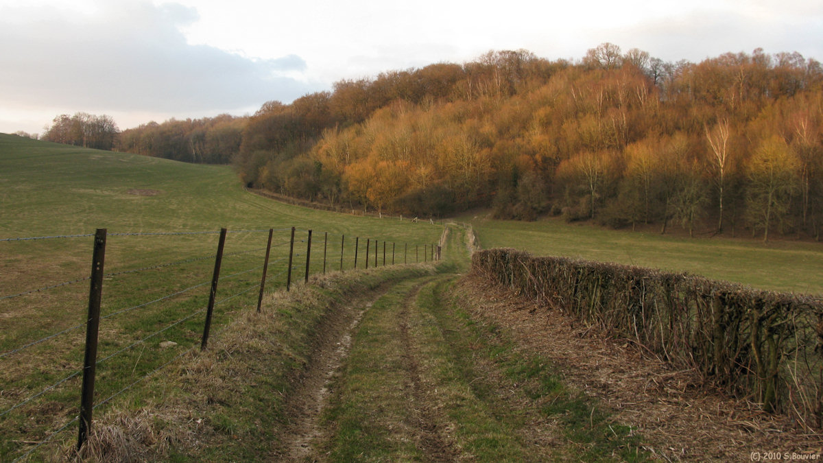 Rouvray Catillon (Chemin 1)