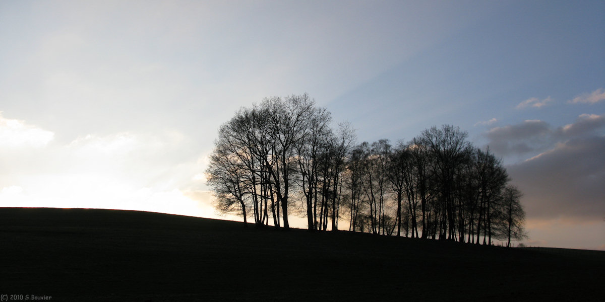 Bosc Edeline (Arbres)