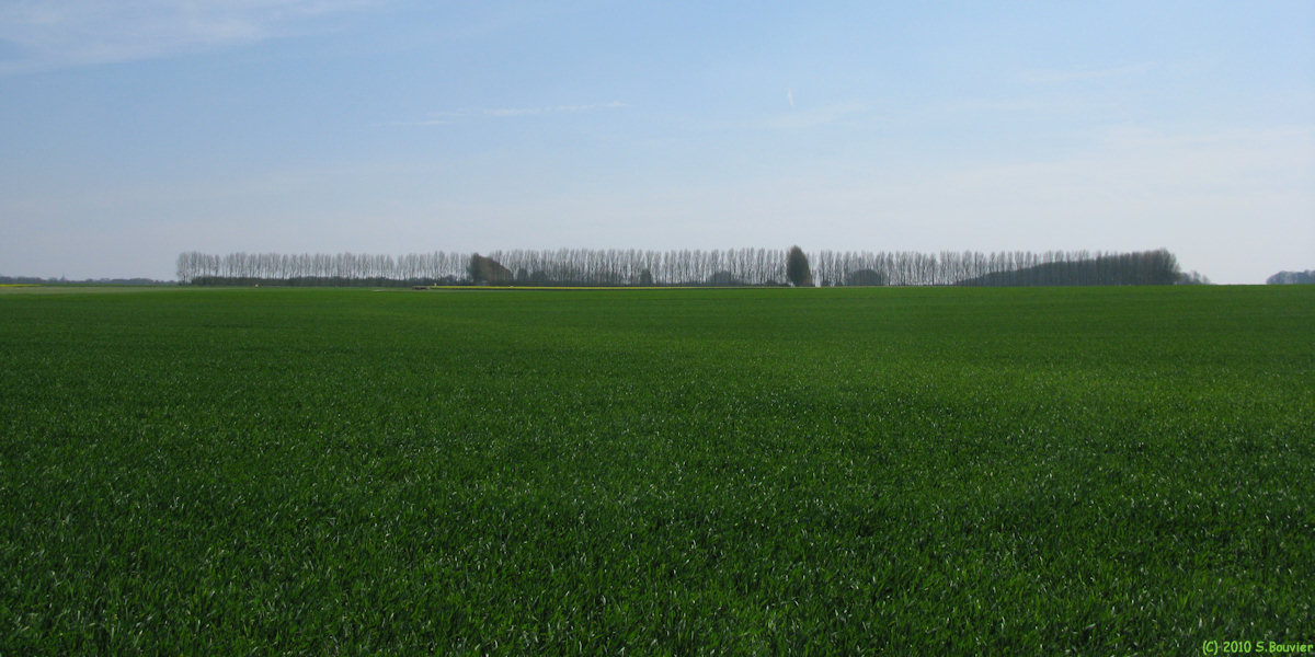 Berneval le Grand (Plaine)