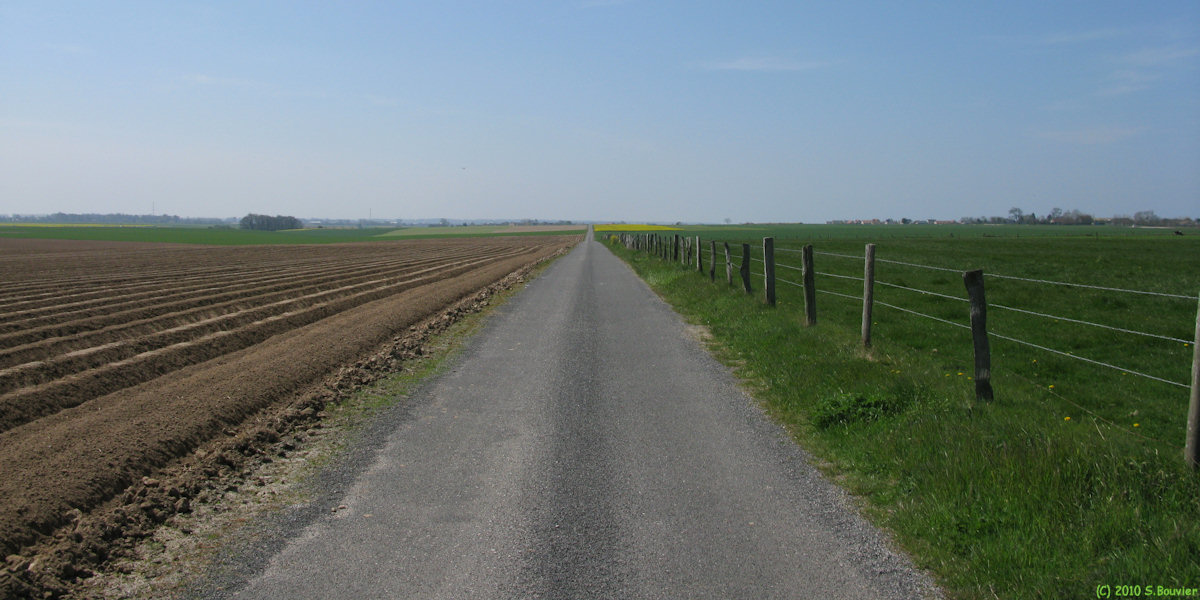 Berneval le Grand (Chemin)