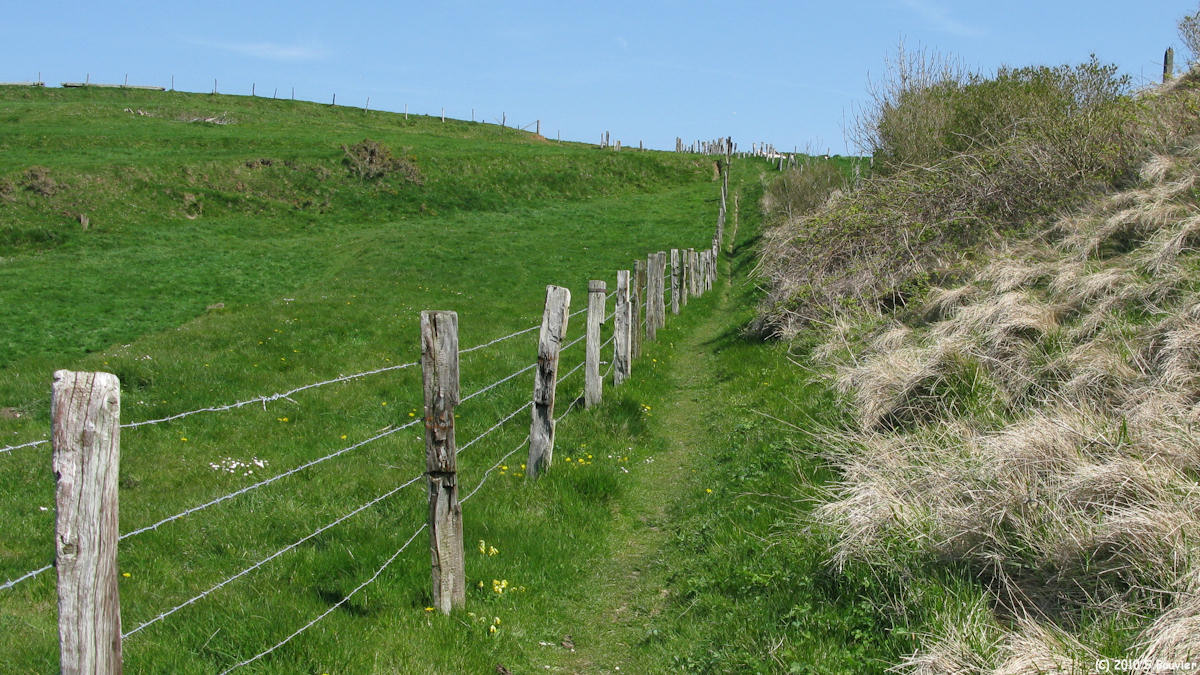Berneval le Grand (Sentier)