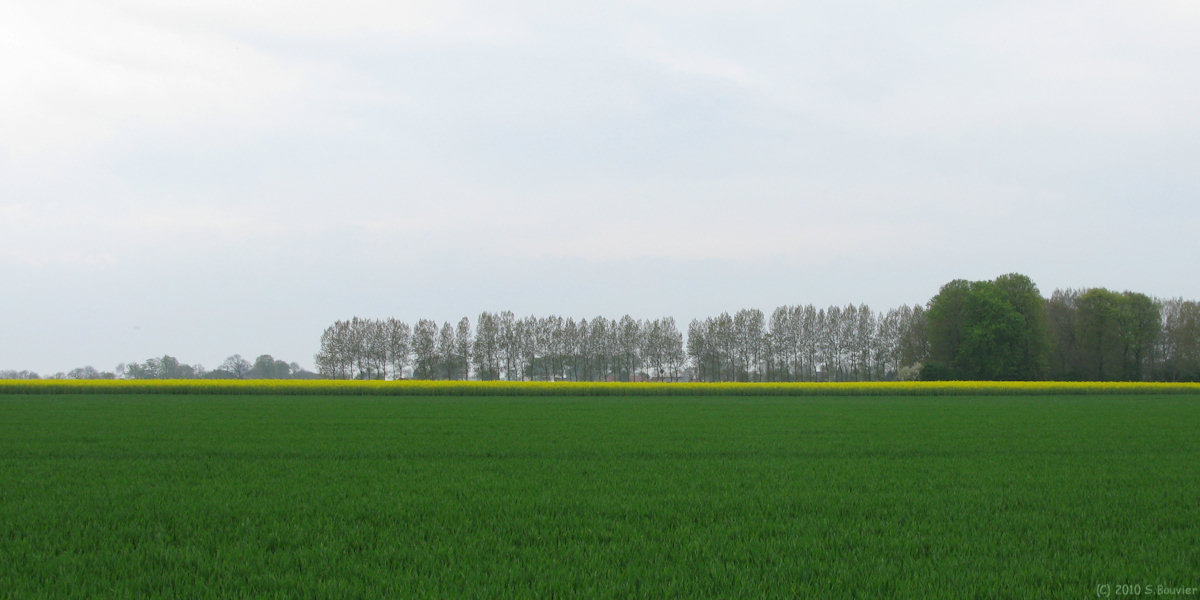 Tourville la Chapelle (Plaine)