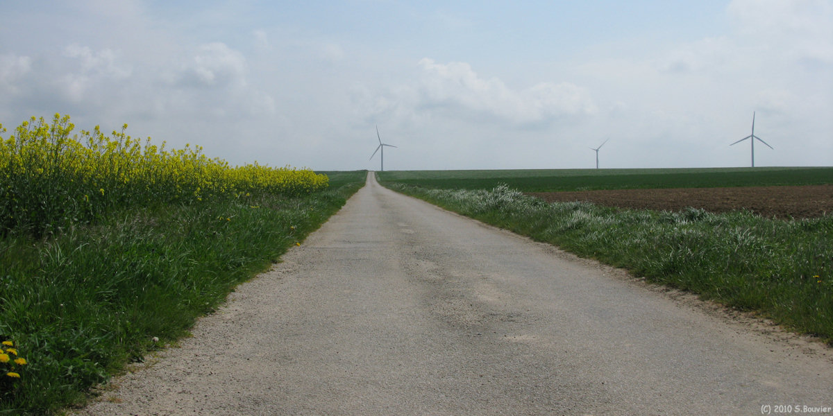 Penly (Chemin)