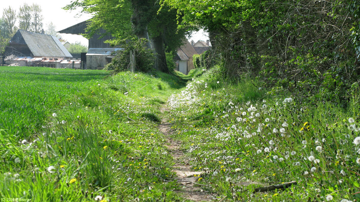 Tourville la Chapelle (Chemin)