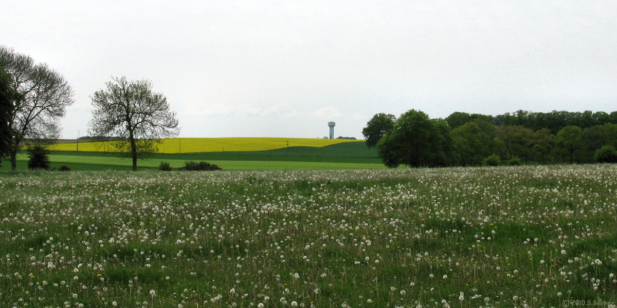 Harcanville (la Bataille)