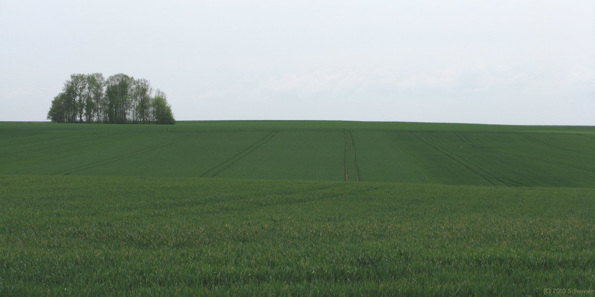 Carville Pot de Fer (Plaine)