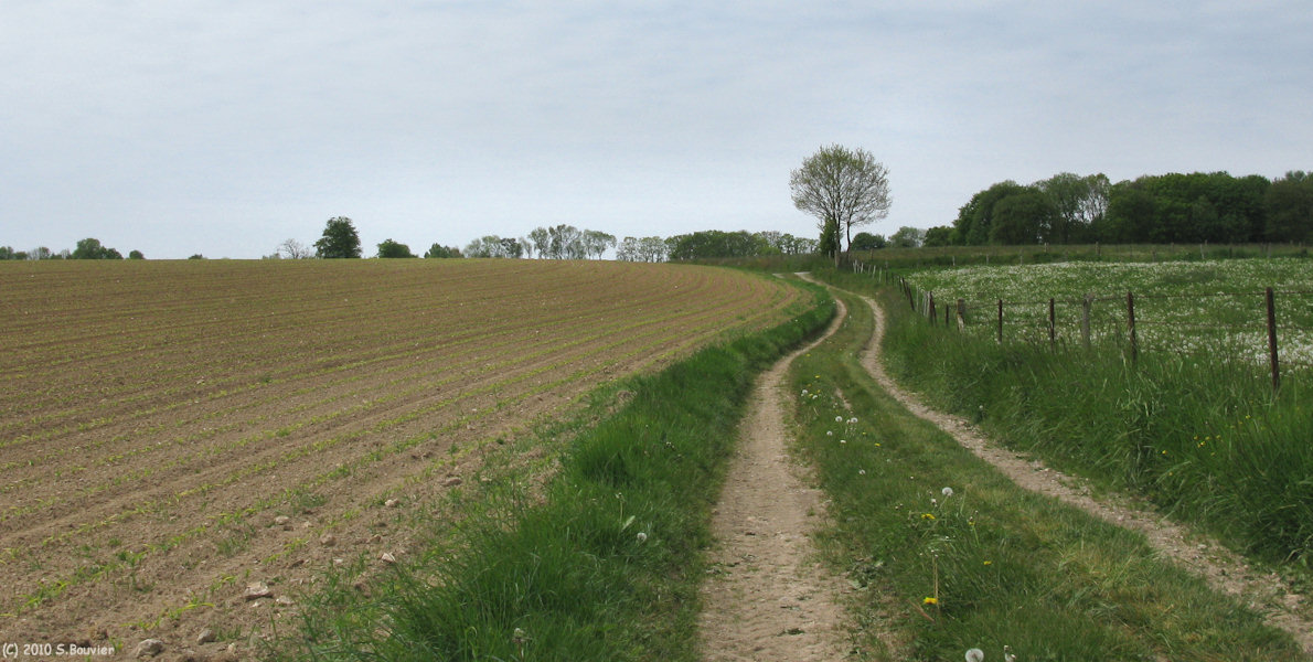 Carville Pot de Fer (Chemin)