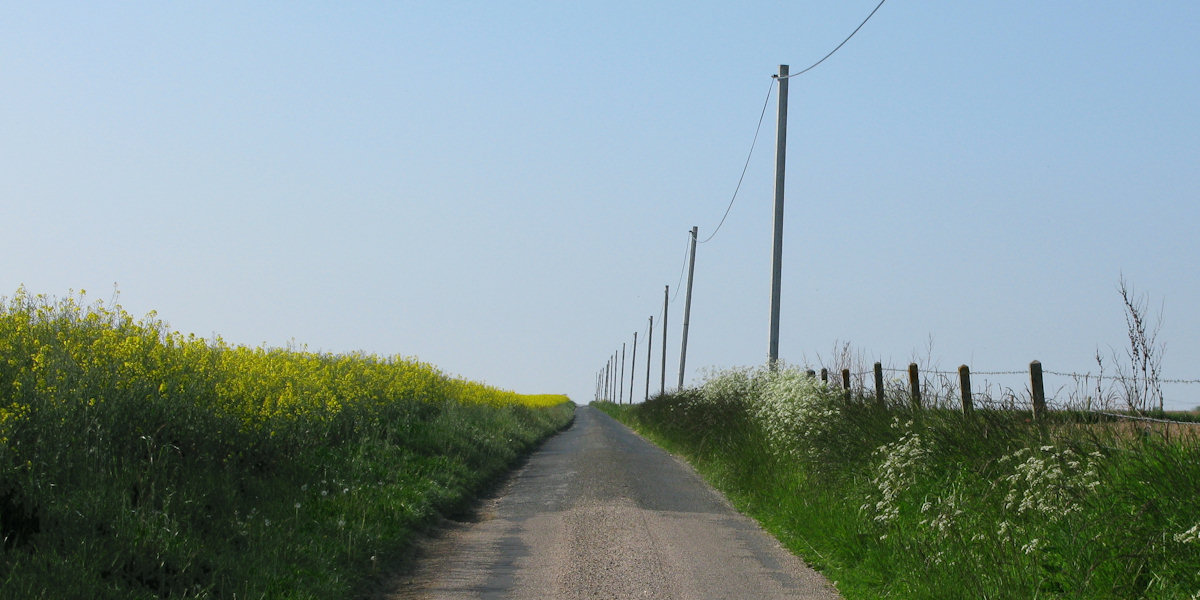 Etoutteville (Route)
