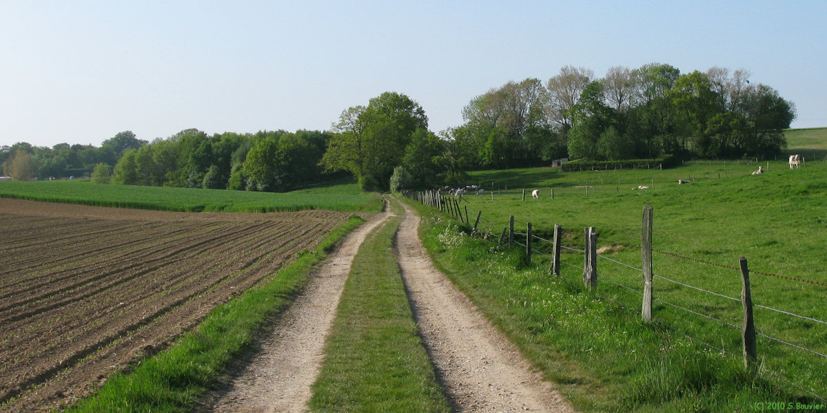 Yvecrique (Chemin 1)
