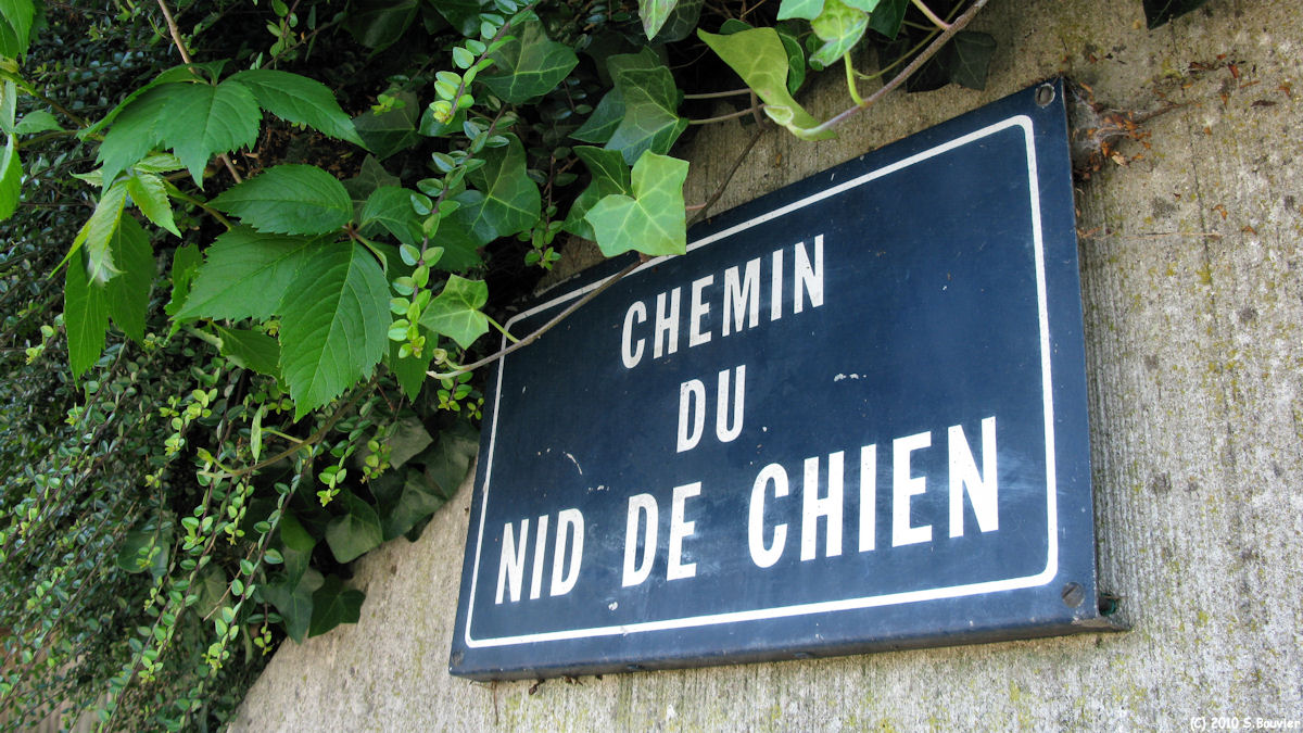 Rouen (Nid de Chien 1)
