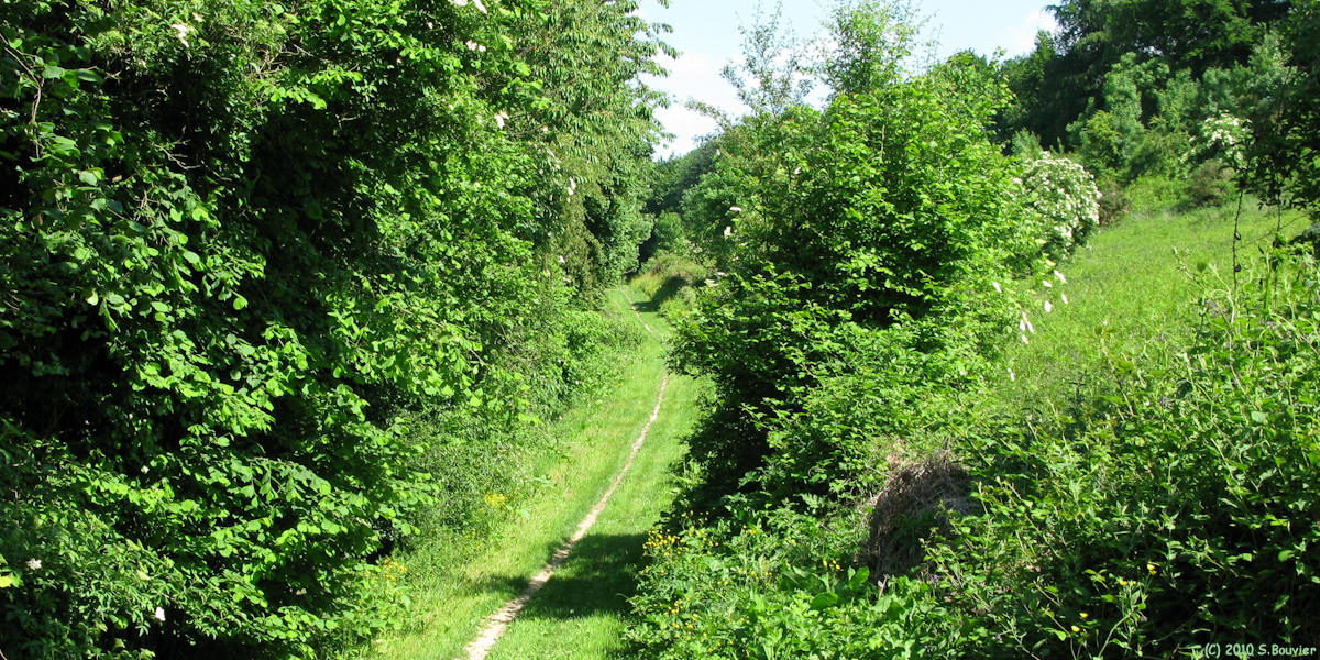 St Léger du Bourg Denis (Chemin 1)