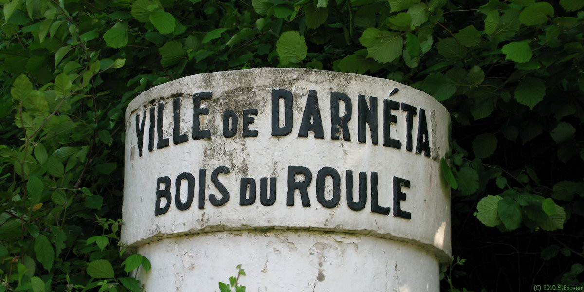 Darnétal (Bois du Roule)