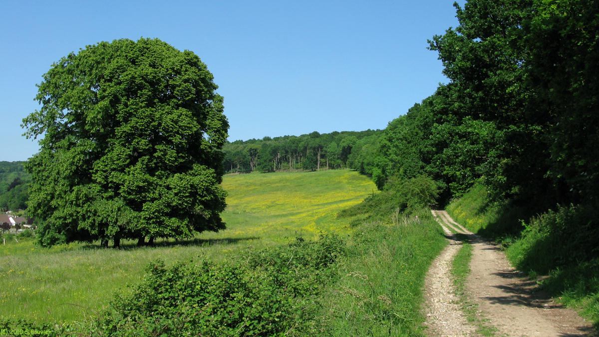 Darnétal (Chemin)