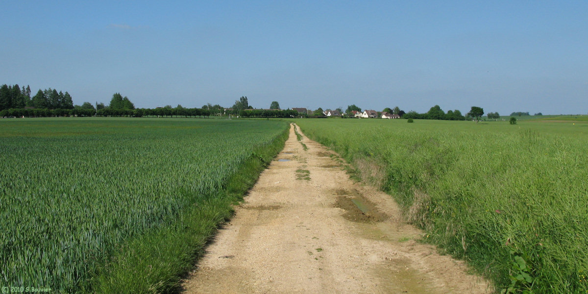 Roncherolles sur le Vivier (Chemin)