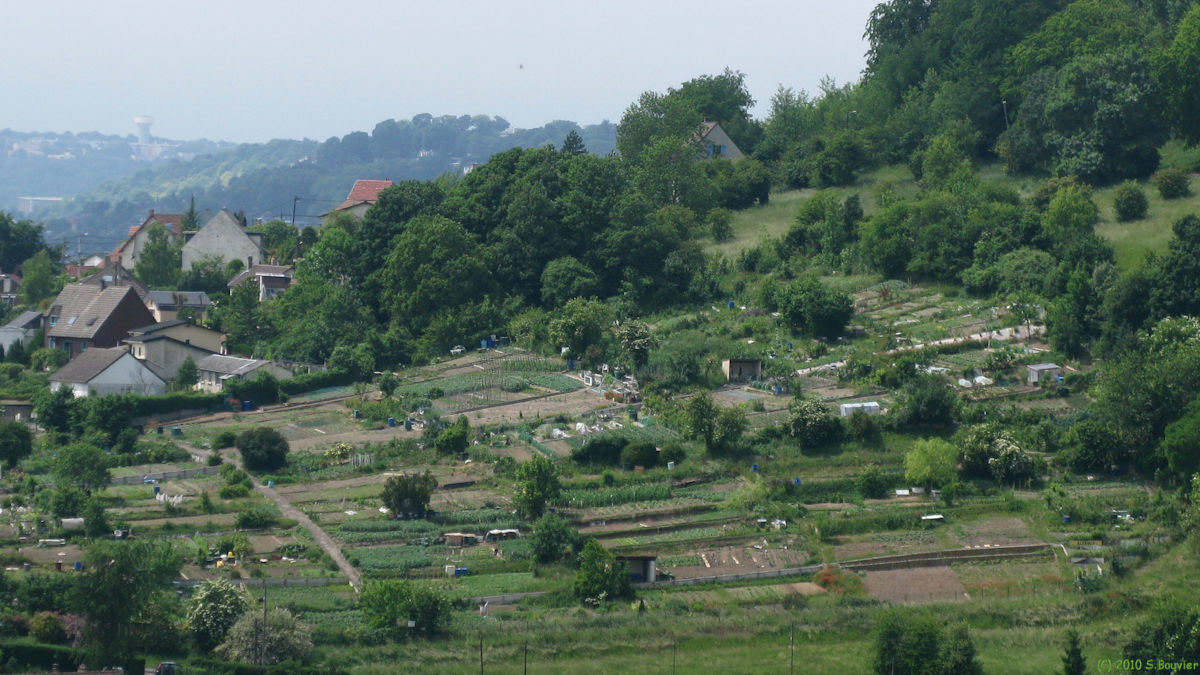 Rouen (Jardins familiaux)