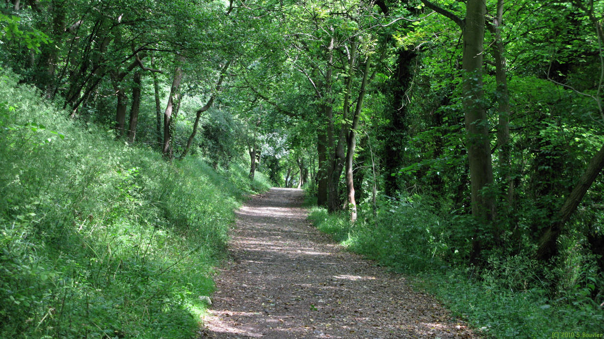 Rouen (Chemin 1)