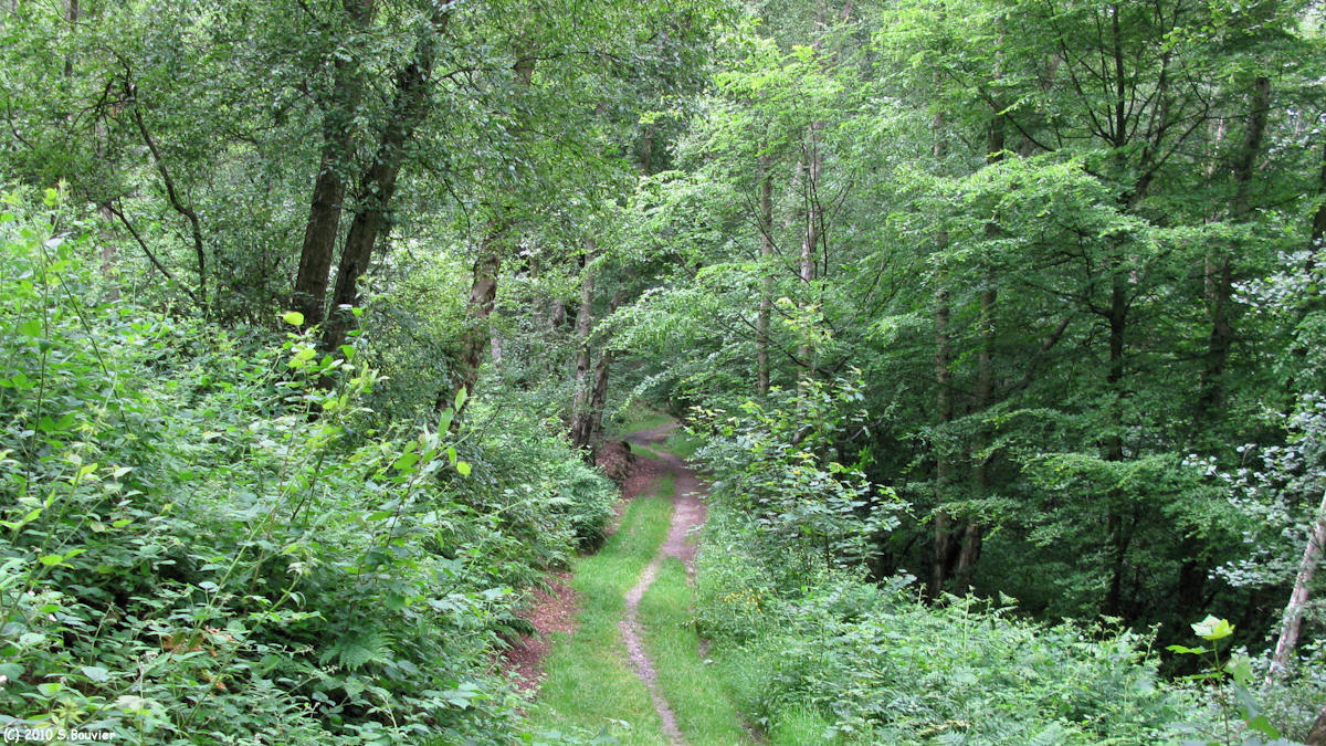 Rouen (Chemin 2)