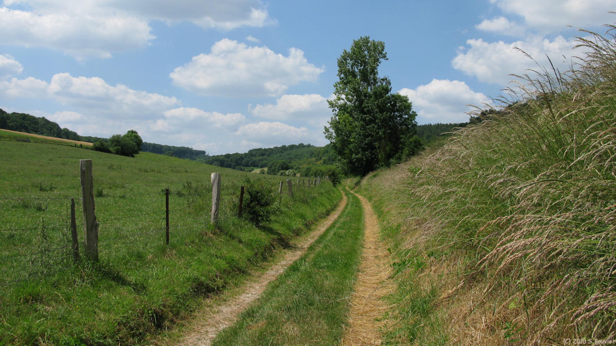 Neuf-Marché (Chemin 1)