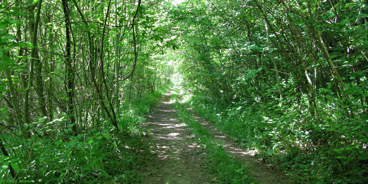Neuf-Marché (Chemin 2)