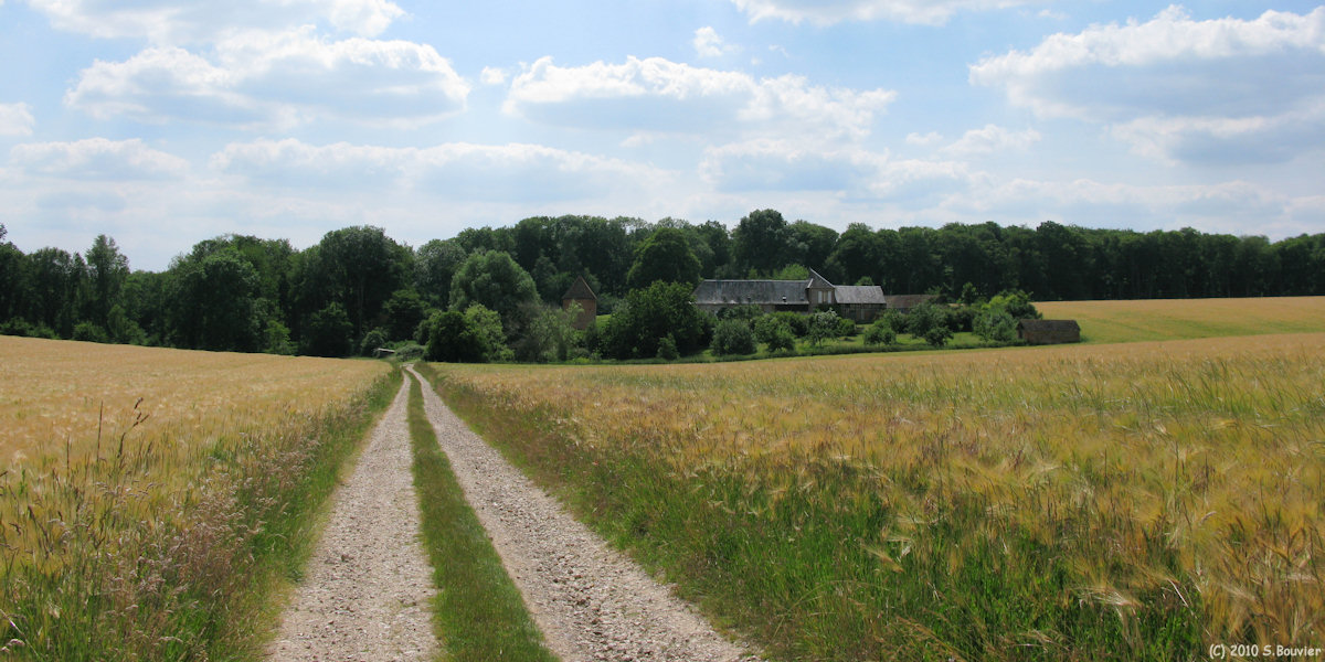 Forêt de Lyons (La Haye)