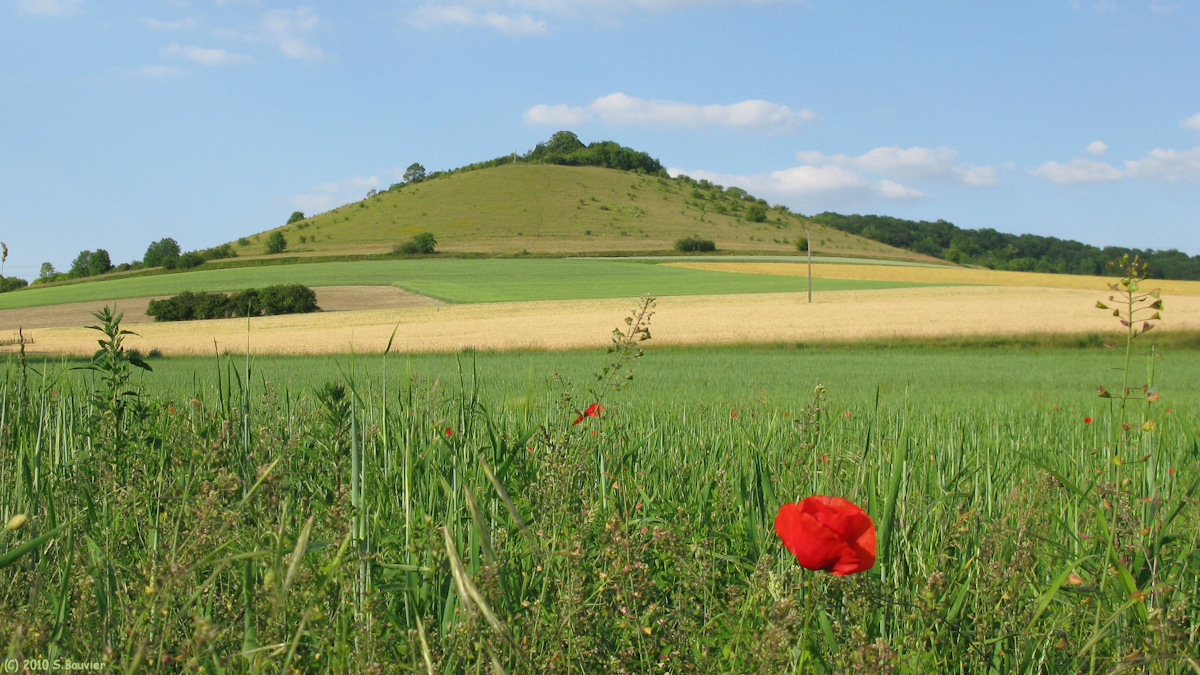 St Pierre es Champs (Mont 2)