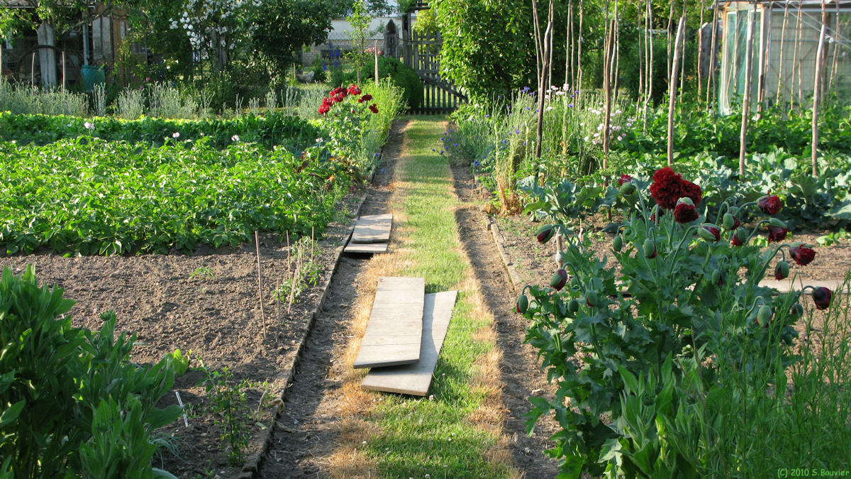 Neuf-Marché (Potager)
