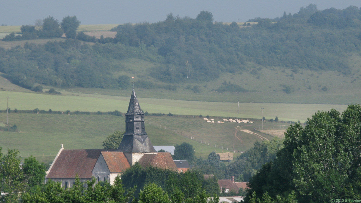 Neuf-Marché (Collégiale)