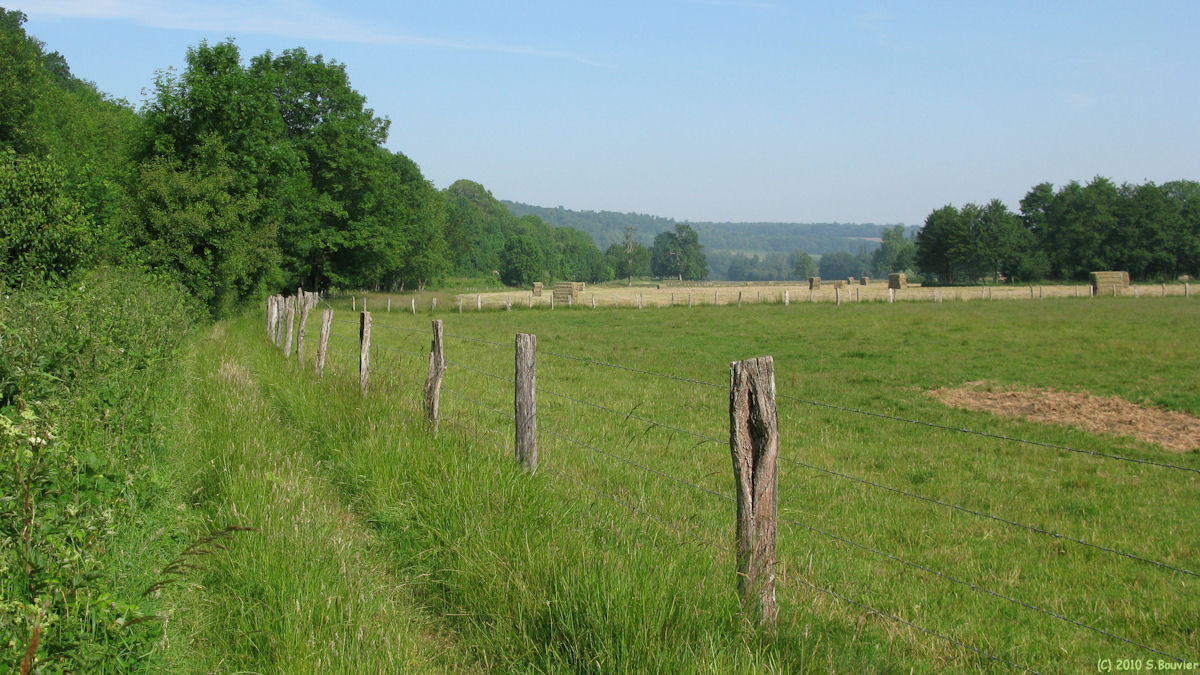 Amécourt (Chemin 1)