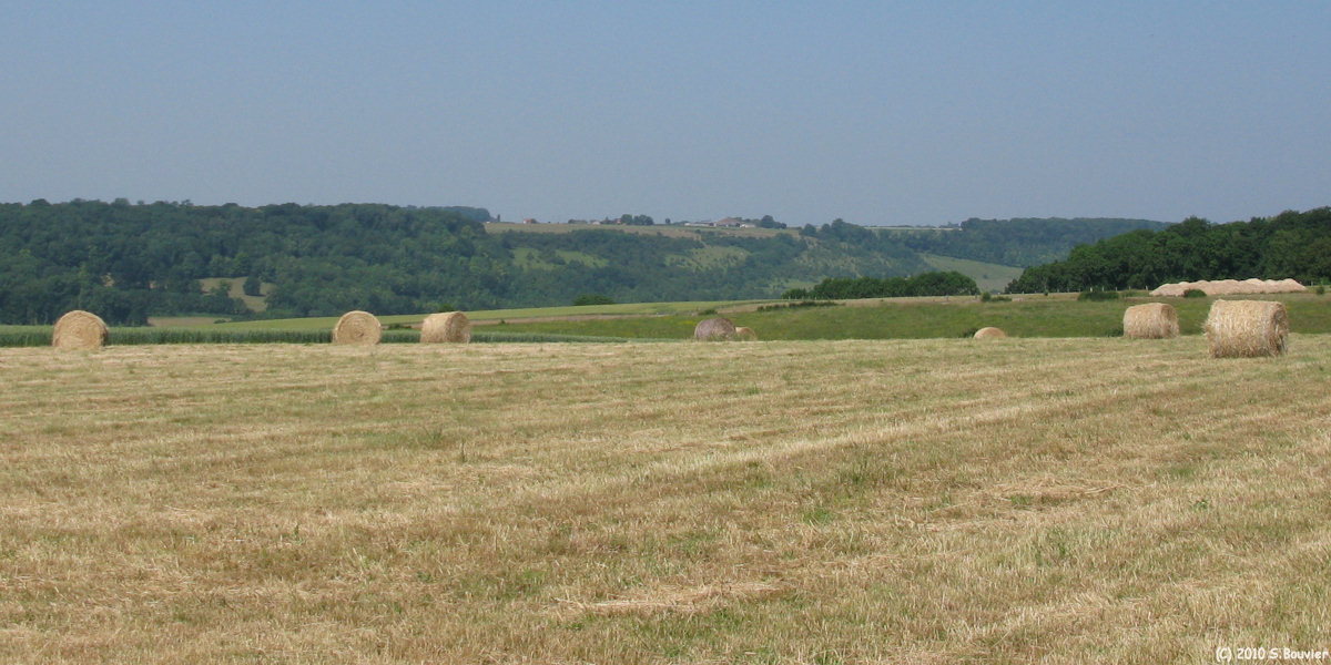 Talmontiers (Vallée)
