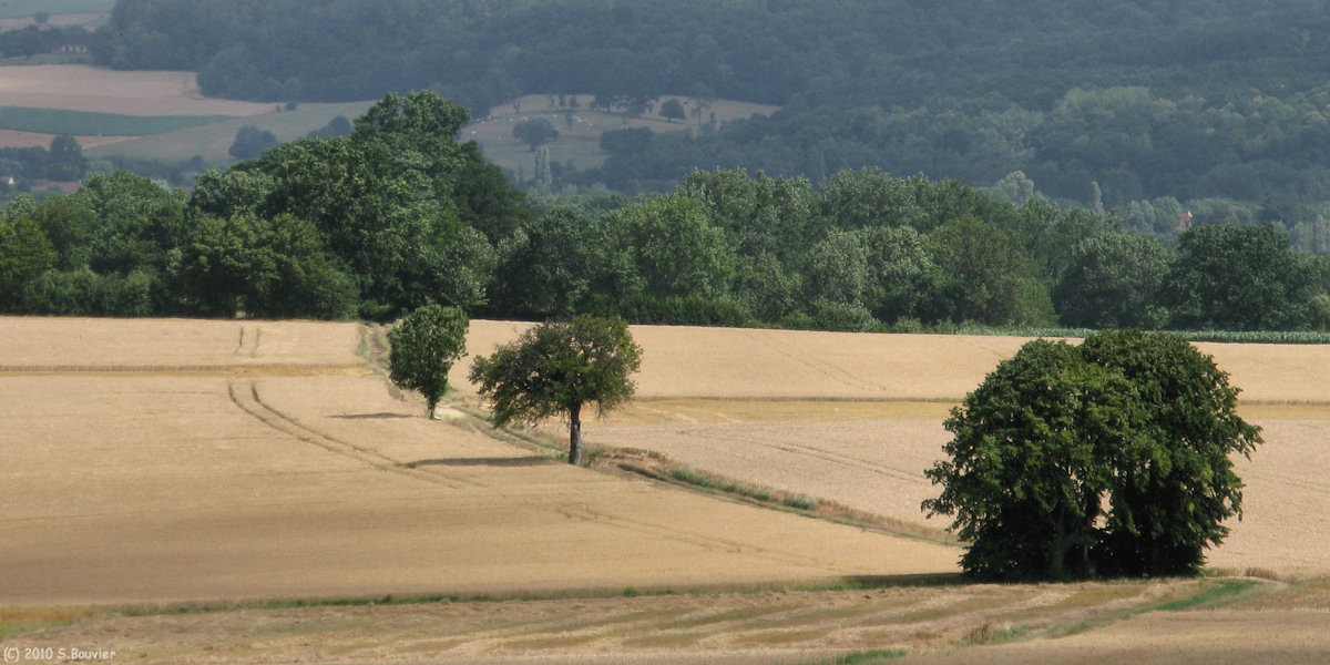 Espaubourg (Chemin)