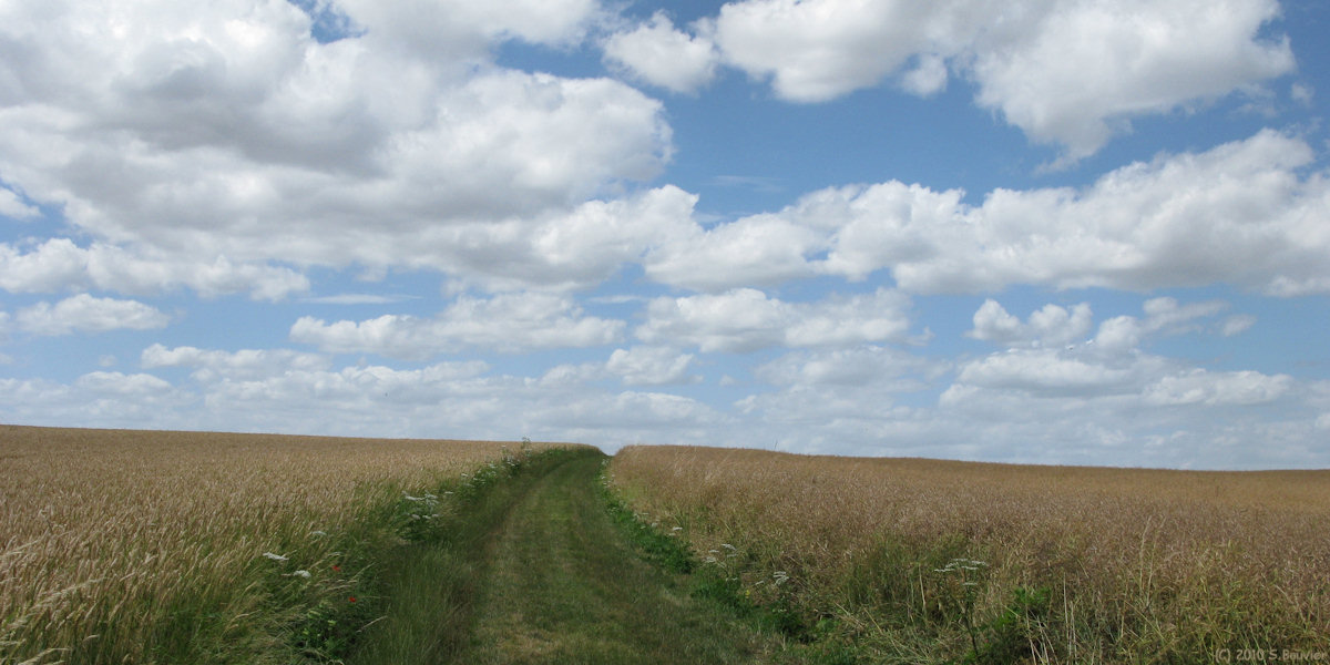 St Germer de Fly (Chemin 1)