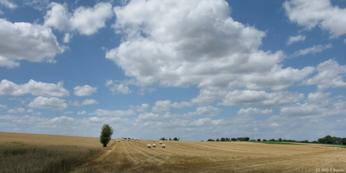 St Germer de Fly (Champs)