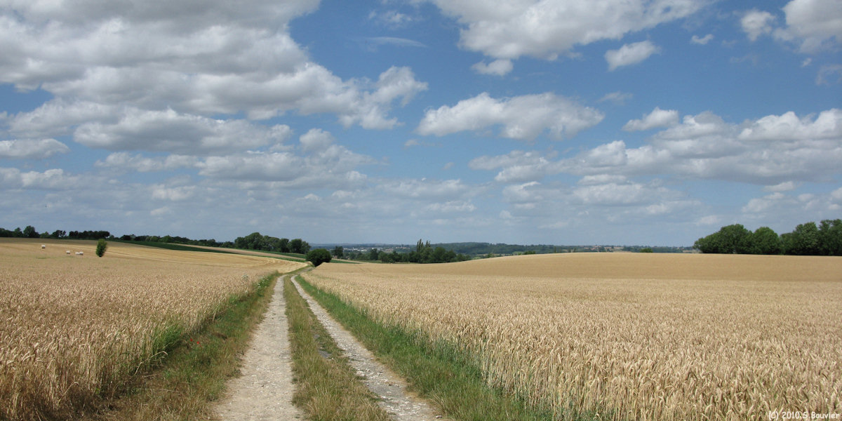 St Germer de Fly (Chemin 3)