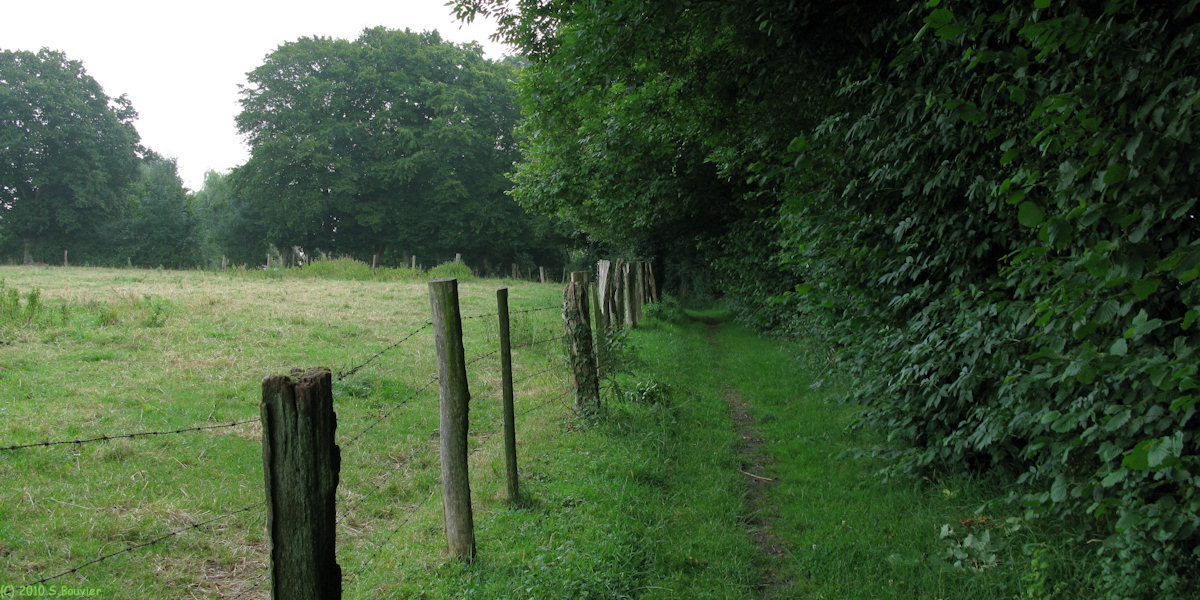 Cuigy en Bray (Chemin 1)