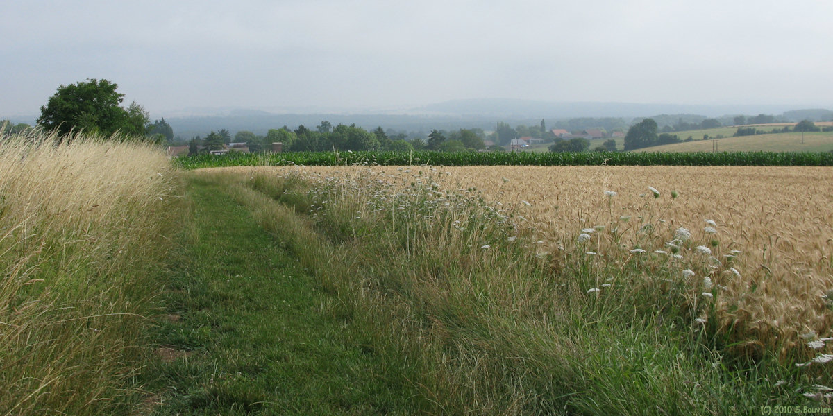 Cuigy en Bray (Chemin 2)