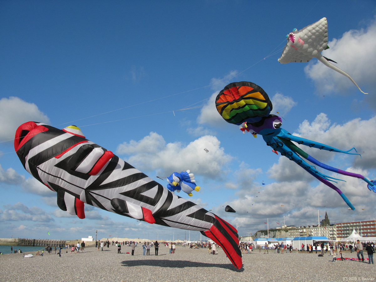 Dieppe (Cerf-Volant 29)