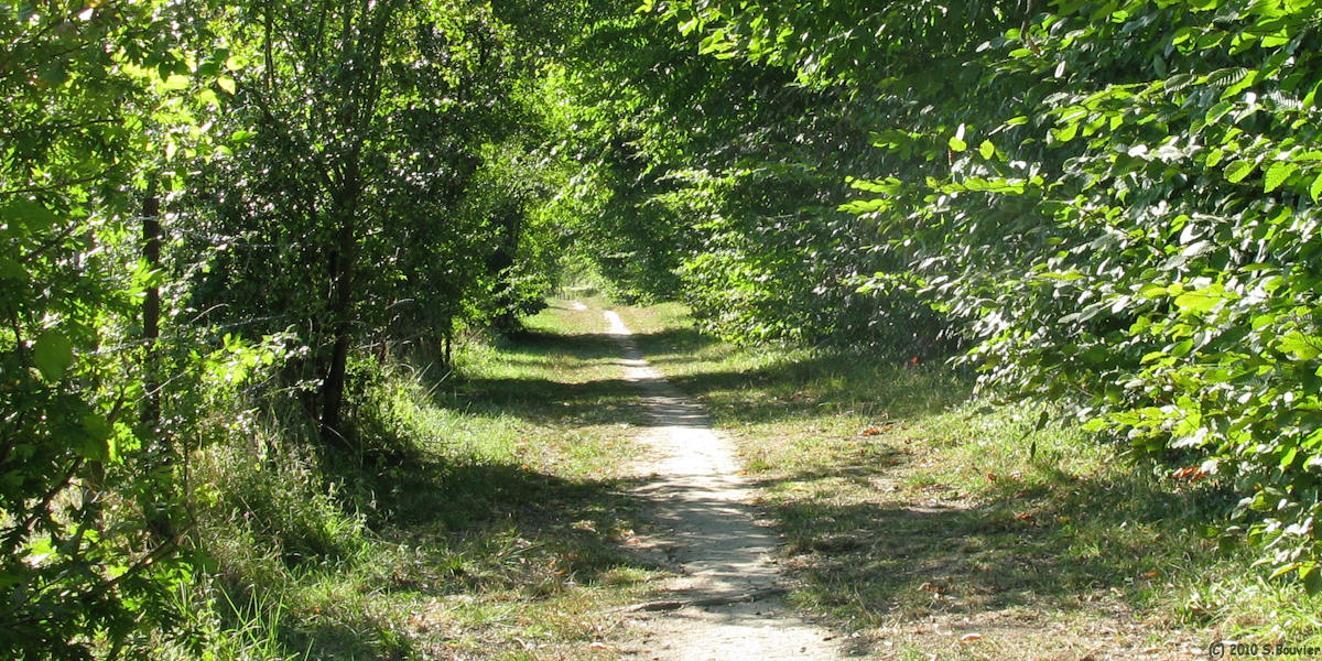 Duclair (Chemin)