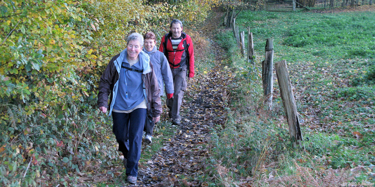 Forêt Verte (Chemin 2)