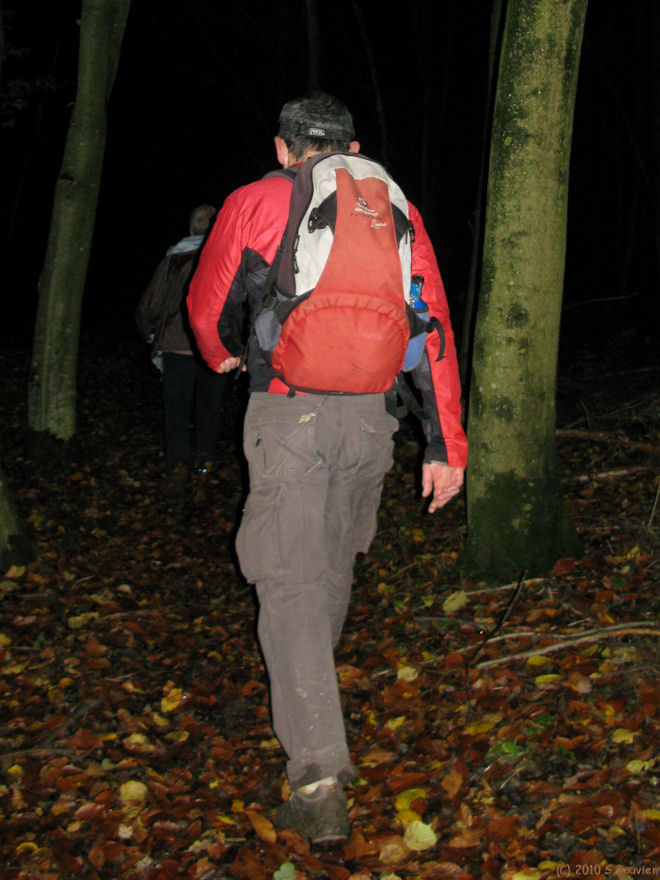 Malaunay (Bois)